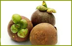 Quer diminuir a vontade de comer doce naturalmente? 
    Conheça então a GARCÍNIA