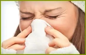 Composto natural anti-gripal
