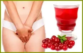 Cranberry para prevenir infeÇÃo urinÁria