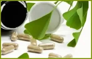 Ginkgo biloba