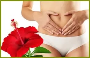 Hibiscus em cápsulas